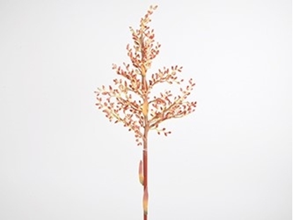 Picture of Bromelia ramo 94 cm