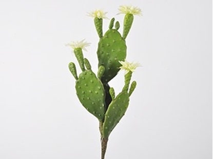 Immagine di Cactus su pick 30 cm con fiori