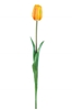Picture of TULIPANO NATURAL TOUCH H.CM.47
