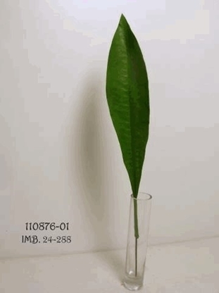 Picture of COCONUT LEAF CM 66