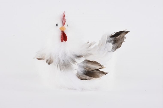 Picture of Gallina 17x26x20cm