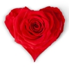 Picture of ROSE HEART SMAL