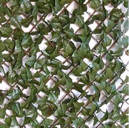 Picture of WILLOW IVY FENCE EXTENS GREEN