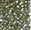 Picture of WILLOW IVY FENCE EXTENS GREEN