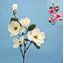 Picture of MAGNOLIA BRANCH X4FLS CM100 PINK