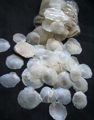 Picture of MICA SHELL X 500 GR. NATURALE