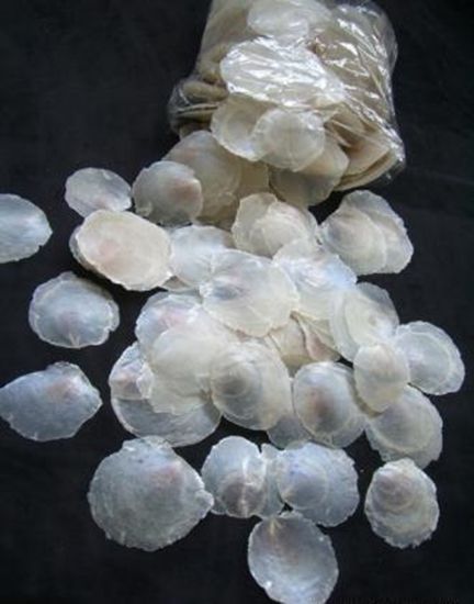 Immagine di MICA SHELL X 500 GR. NATURALE