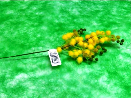 Picture of MIMOSA PICK
