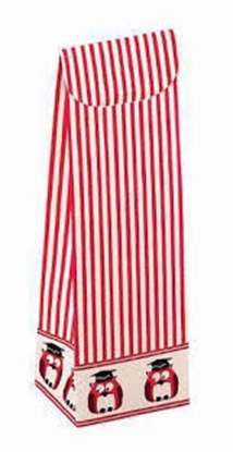 Immagine di SHOPPY GUFI 50X50X105 MM CF. 10 PZ