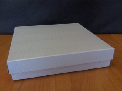 Immagine di FONDO C/P 300X300X60 MM PELLE BIANCO