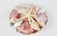 Immagine di CONCHIGLIE MARE CON PIATTO ASSORTITE CIRCA GR500 CMØ20X5