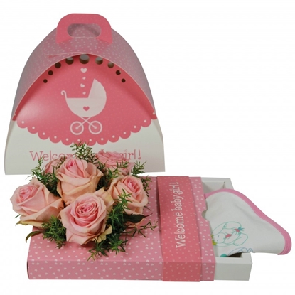 Immagine di OASIS® floxi uni color welcome babygirl 22,5x17,5x3,2 cm.