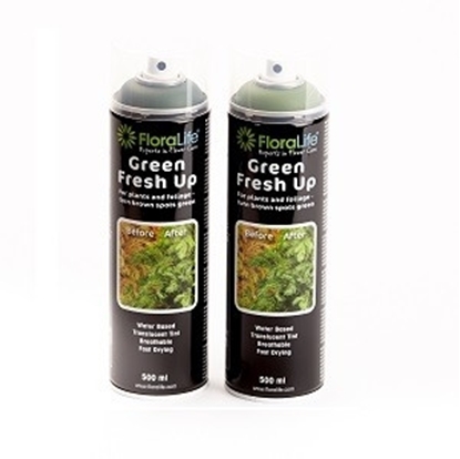 Picture of OASIS FLORALIFE GREEN FRESH UOP VERDE SCURO 500 ML .