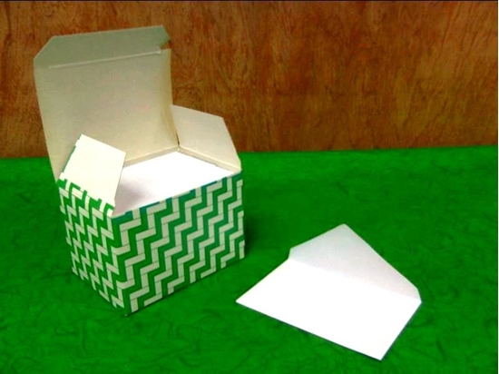 Immagine di BUSTE BIANCHE CF. 100 FT4