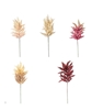 Picture of ASTILBE CM.65