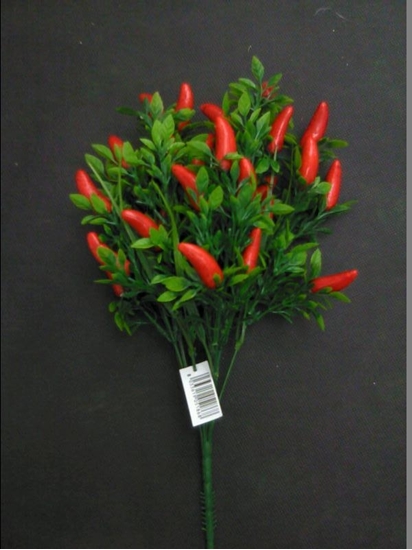 Immagine di BUSH PEPERONCINI ROSSI