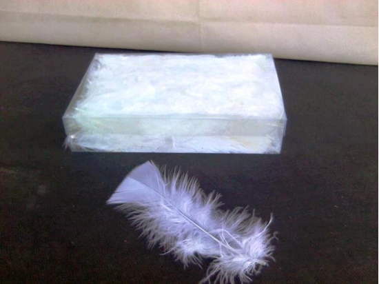 Immagine di PIUME ( FEATHER ) IN PVC GR.35 WHITE
