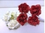 Immagine di FLOWER HEAD IN BAG X20PZ *RED