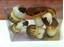 Immagine di FUNGHI BOX X 6 PZ.