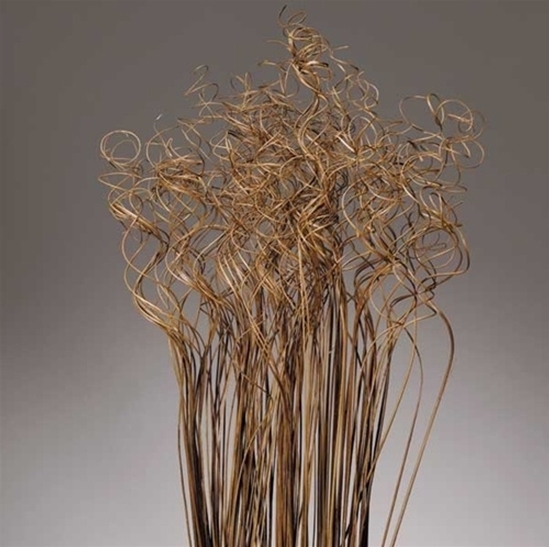 Immagine di CURLY TING TING COCO