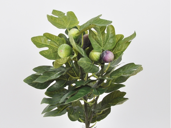 Immagine di RAMO DI FICO X 3 CON 7 FRUTTI