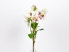 Immagine di PANSY BOUQUET 38 CM