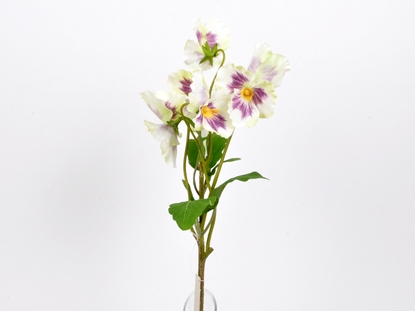 Immagine di PANSY BOUQUET 38 CM