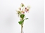 Immagine di PANSY BOUQUET 38 CM