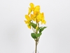 Immagine di PANSY BOUQUET 38 CM
