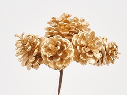 Immagine di CONI DI PINO BUNDLE 16 CM