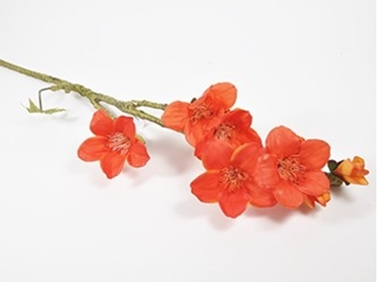 Immagine di Bombax con fiore ramo 139,5 cm