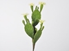 Immagine di Cactus su pick 30 cm con fiori