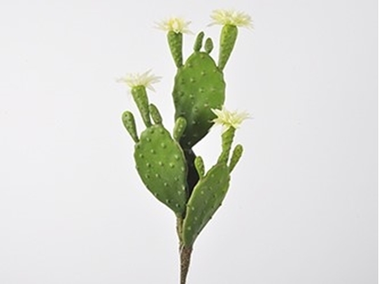 Immagine di Cactus su pick 30 cm con fiori
