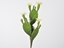 Picture of Cactus su pick 30 cm con fiori