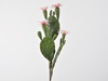 Picture of Cactus su pick 30 cm con fiori