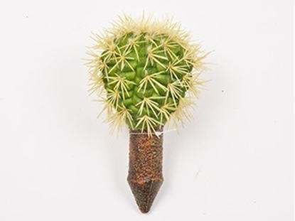 Picture of Cactus 17,5 cm