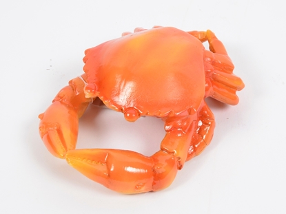 Immagine di GRANCHIO 11X8X5CM ARANCIONE