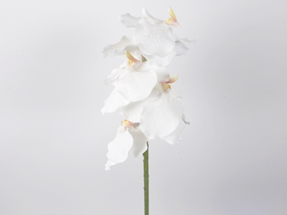 Immagine di RAMO DI ORCHIDEA VANDA 74 CM