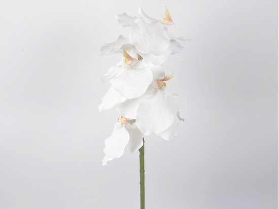 Immagine di RAMO DI ORCHIDEA VANDA 74 CM