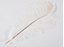 Immagine di PIUMA MARABOU 25-30 CM BIANCO