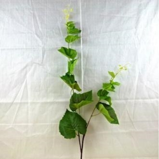 Picture of GRAPE VINE X2 W/15LVS H 88CM GREEN