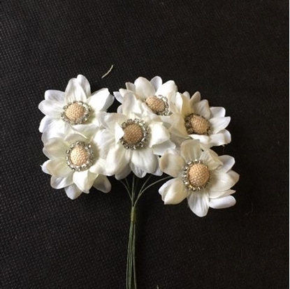 Immagine di MAGNOLIA BRILLANTINI CF. 36 PZ.