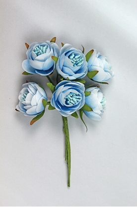 Immagine di MINI ROSA CON SEMI CF 36 PZ LIGT BLUE