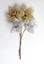 Picture of FIORE STELLA ORG. D.3,5 cm. ORO CF. 72 PZ.
