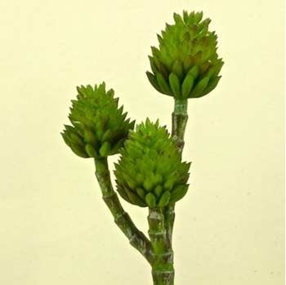 Picture of SUCCULENT PICK X3 CM19  GREEN