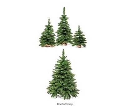 Immagine di PINETTO TIMMY 120CM