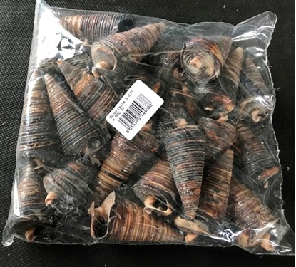 Picture of Conchiglie s-071 x 500 gr