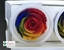 Picture of ROSE STABILIZZATE RAINBOW CF. X 6 PZ.