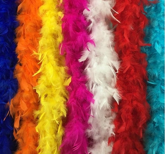 Immagine di BOA PIUME