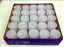 Immagine di NIGHTLIGHT PC WITHE D.35 VASSOIO DA 50 PZ.